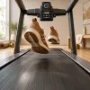 Quelle application pour tapis de course choisir pour un coaching vraiment utile