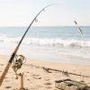 Choisir une canne à pêche surf casting performante pour le bord de mer