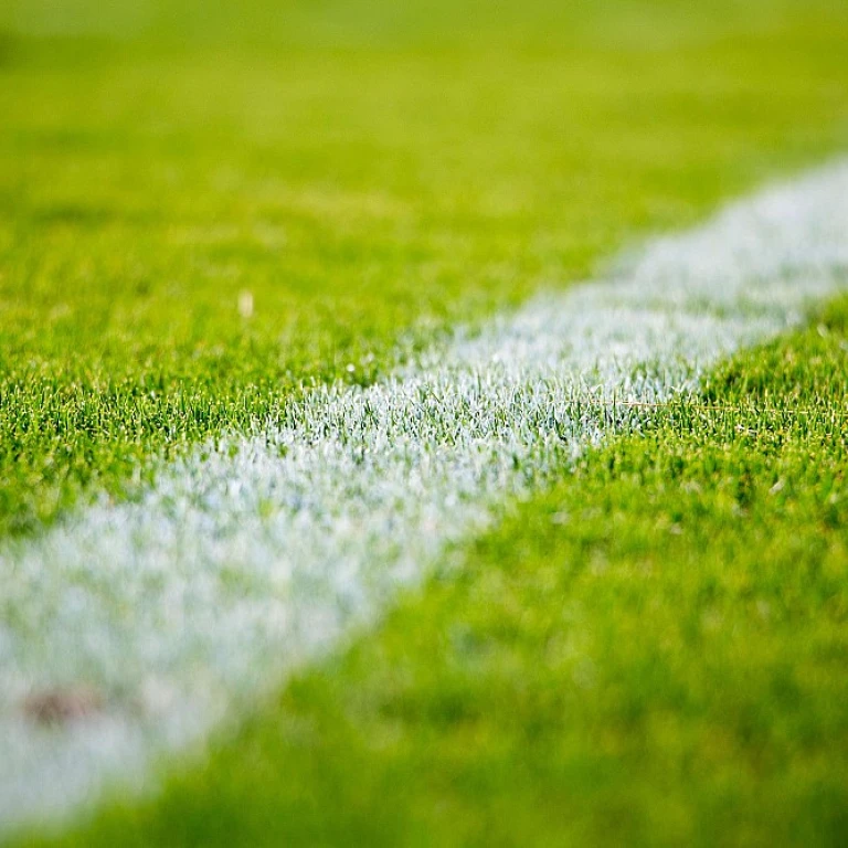 Stratégies de Partenariats dans le Marketing Sportif: Comment Maximiser l'Impact?