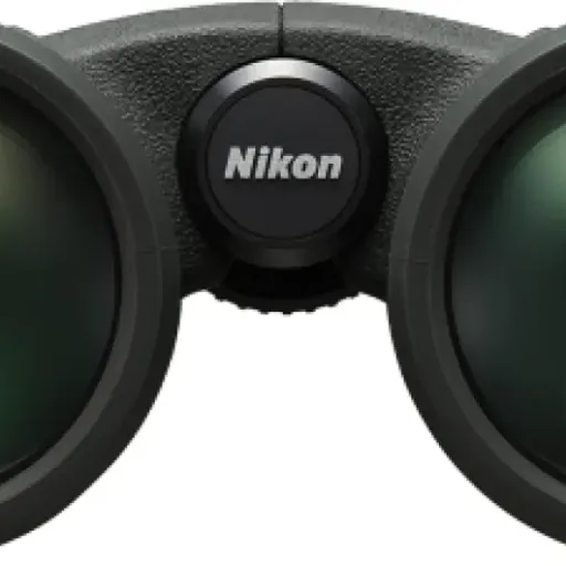 Avis Nikon PROSTAFF P7 10x42 : des jumelles robustes et lumineuses pour l’outdoor
