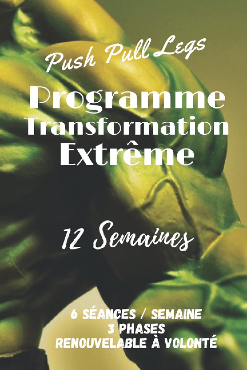 Push Pull Legs: Programme musculation de 12 semaines