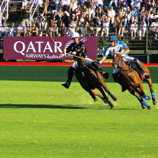 Plongez dans l'univers du cross de Beaumont