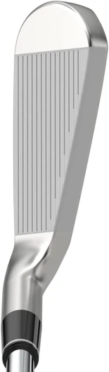 41fE5Zq4h7L._AC_SL1000_
