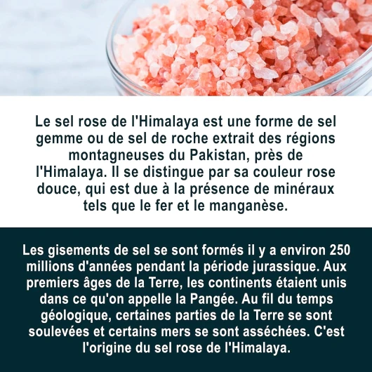 91Q8jZrp2YL._AC_SL1500_