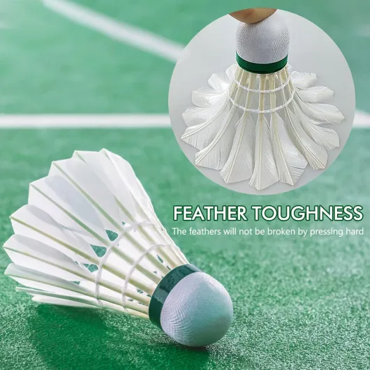 71lNbslgviL._AC_SL1500_