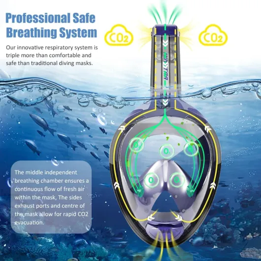 71zm4qDvq6L._AC_SL1000_