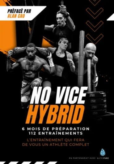 NO VICE HYBRID