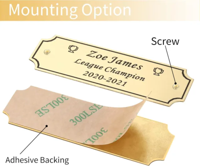 71tGbazMTsL._AC_SL1500_