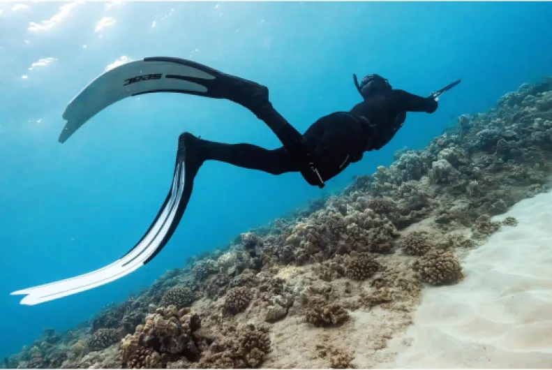 81KbZk53kYL._AC_SL1500_