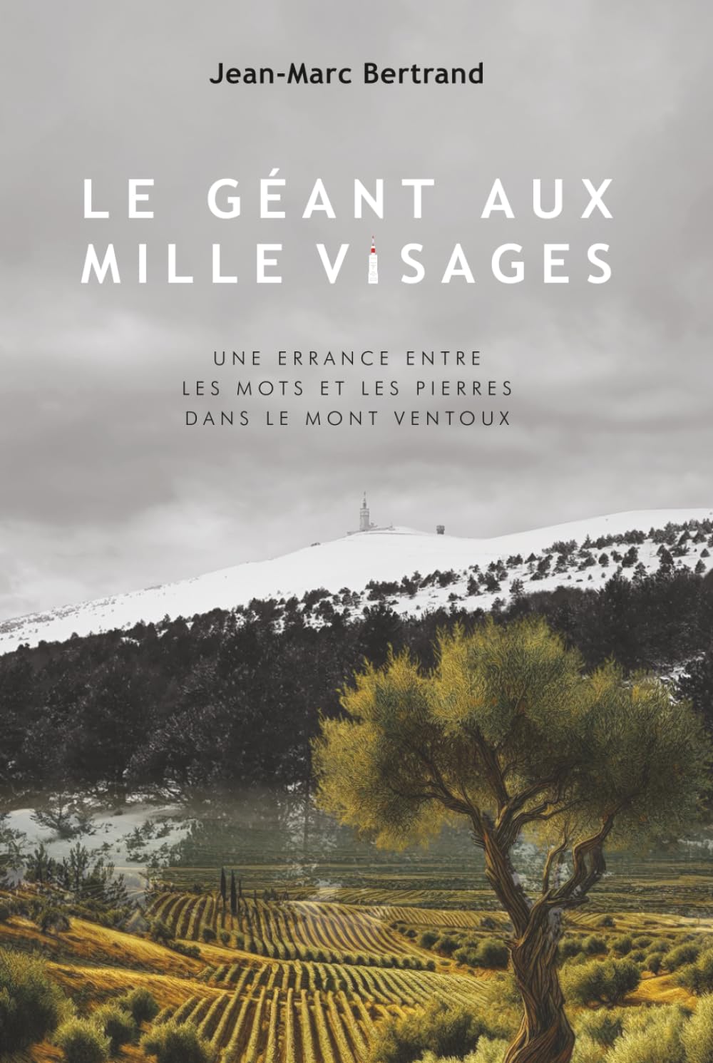 Le géant aux mille visages: Une errance entre les mots et les pierres dans le Mont Ventoux