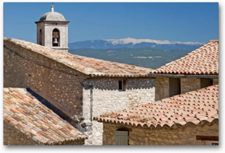 71EuLfEgSPL._AC_SL1200_