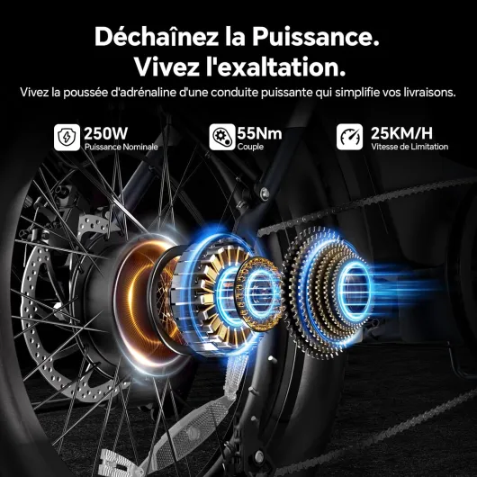 S2/S2 Pro Vélo Électrique Pliable Tout-Terrain 20"×4.0" Fat Tire, 150KM Autonomie, Batterie 720Wh Amovible, Moteur 250W Vélo Électrique Gros Pneu 7 Vitesses, E-Bike Urbain pour Adulte S2 Noir-55NM