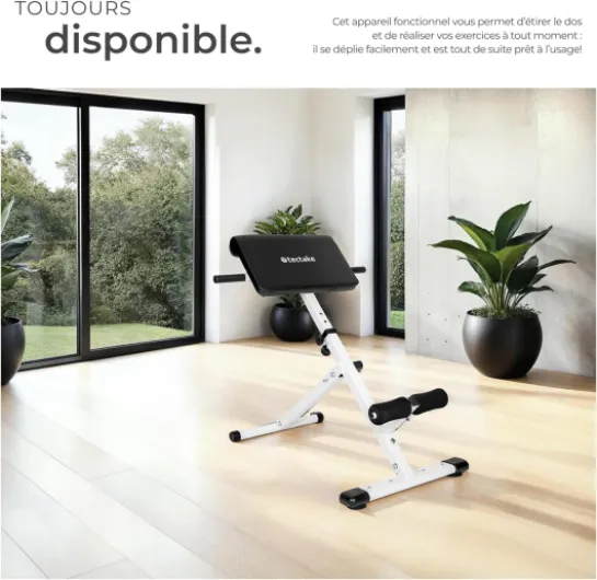 71R-dHaDj-L._AC_SL1350_