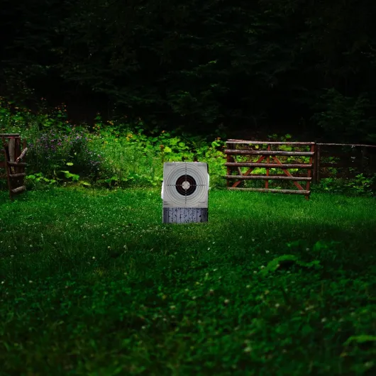 71x1lDXaJyL._AC_SL1200_