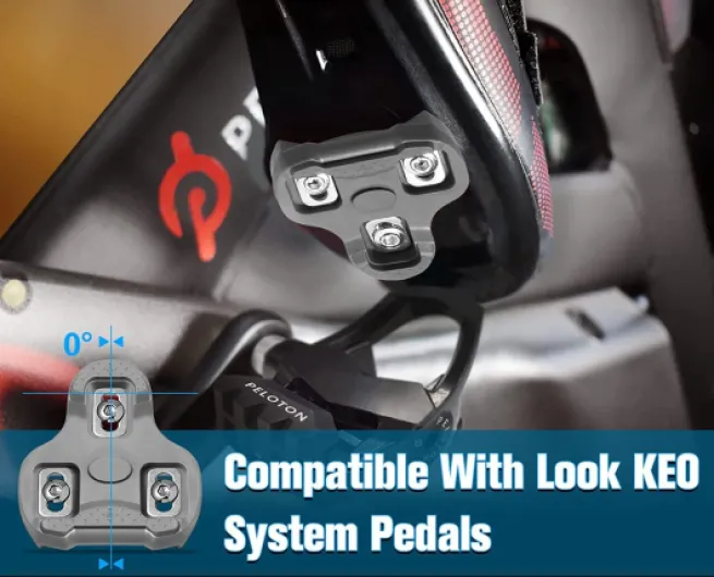 710oJisdUCL._AC_SL1500_