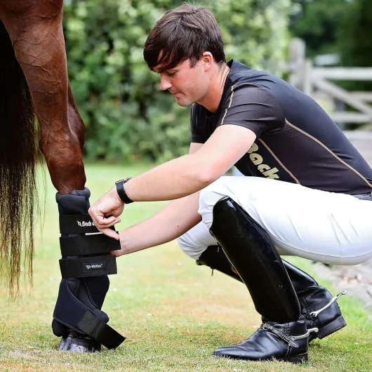 Back on Track Royal Guêtres de Protection pour Cheval