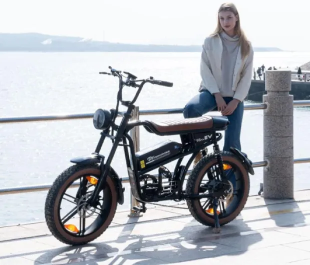 Vélo Electrique pour Adultes, 16''/20" Vélo Electrique à Gros Pneus, 250W E Bike,Jusqu'à 25KM/H, 36V/48V Batterie Amovible, Vélo Tout-Terrain Electrique pour la Neige de Montagne EK30 Noir - Max 100KM