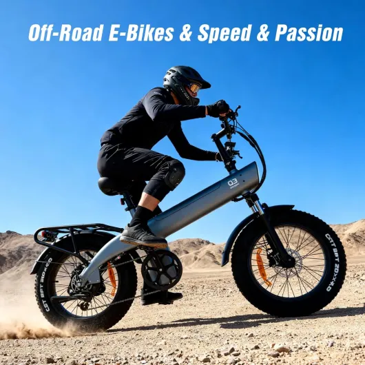 Q3 Vélo électrique pour Adultes,20''x4'' Fat E Bike,Moteur 115Nm et 48V 20Ah Batterie Amovible Jusqu’à 100KM,Suspension Intégrale & Freins Hydrauliques,7 Vitesses Ebike avec Écran LCD One Batterie grise