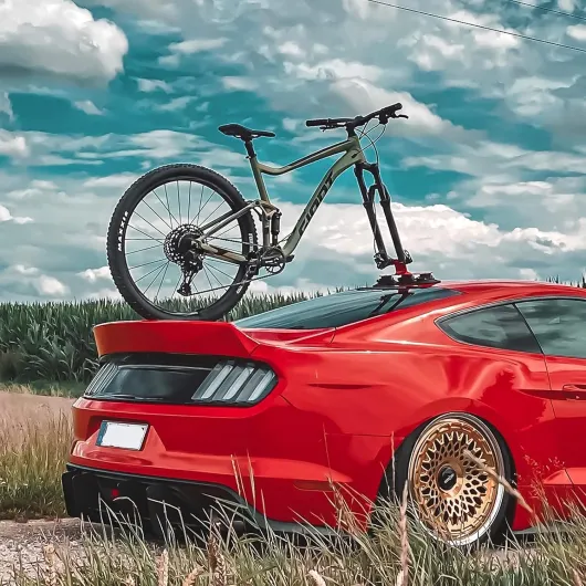 Porte de Vélo pour Toit Voiture Fixation Ventouse Rouge pour 1 Vélo 1 vélo Noir