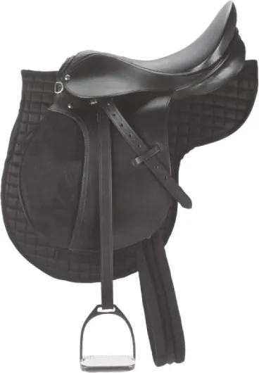 Covalliero Selle, Haflinger, Noir, 44,5cm, Largeur de Selle 34,5cm, Longueur de Sangle 125cm, Confortable, Bien ajustée, avec et Tapis de Selle Inclus Noir 17,5" (Lot de 1)