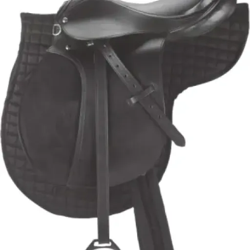 Test Covalliero Haflinger 17,5" : un kit de selle pas cher pour débuter, avec quelques compromis