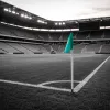 Activation digitale dans le sport : trois stratégies qui génèrent du ROI en 2026