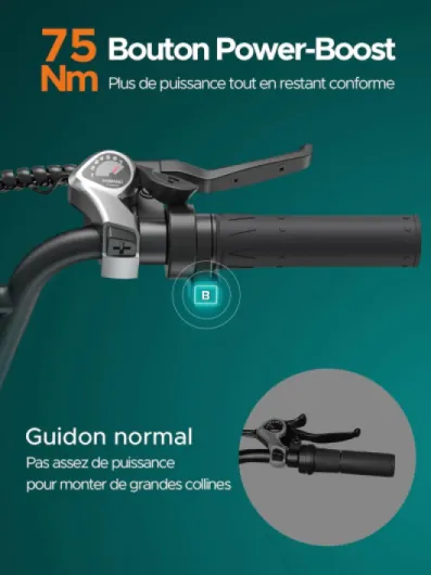 Velo Electrique Homme 20 Pouces-vélo électrique 48V 13Ah Batterie, VTT Electrique Adulte Homme 7 Vitesses avec écran LCD, 25km/h avec Moteur 250w, autonomie jusqu'à 120km L20/L20 Boost Rouge L20 BOOST