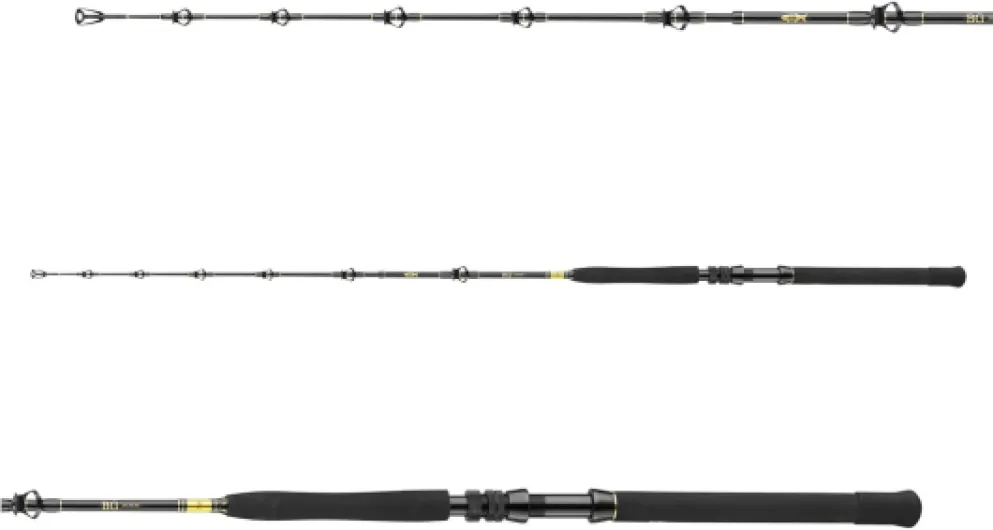 DAIWA BG Big Game Canne à pêche en eau salée en 3 parties 1,68 m 5.50 Ft / 20-30 lbs