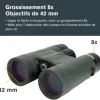 Test Celestron Nature DX 8x42 : des jumelles sérieuses pour débuter sans se ruiner