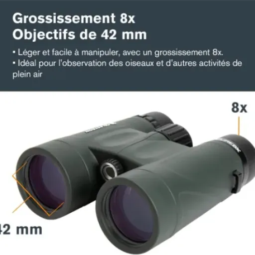 Test Celestron Nature DX 8x42 : des jumelles sérieuses pour débuter sans se ruiner