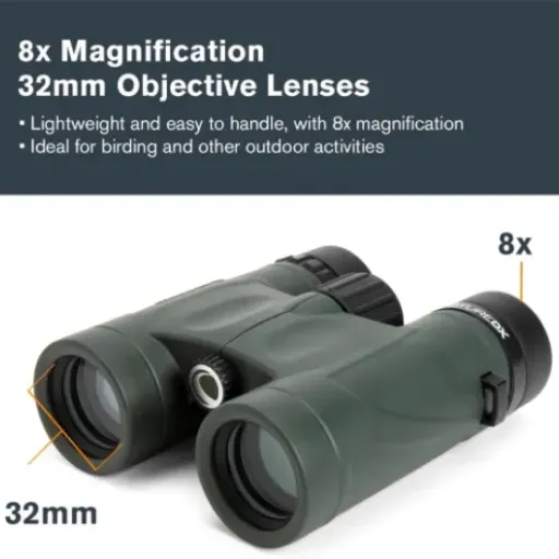 Test Celestron Nature DX 8x32 : des jumelles sérieuses pour débuter l’ornitho sans exploser le budget
