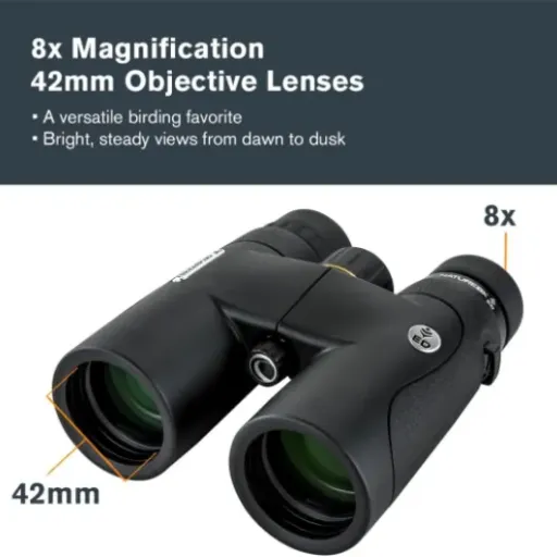 Test Celestron Nature DX ED 8x42 : des jumelles sérieuses pour l’ornitho sans exploser le budget