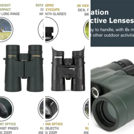 5 meilleurs jumelles professionnelles observation nature : notre comparatif (mai 2026)