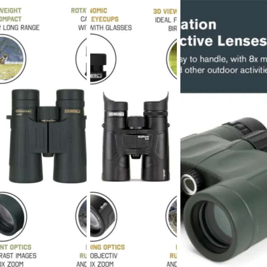 5 meilleurs jumelles professionnelles observation nature : notre comparatif (mai 2026)