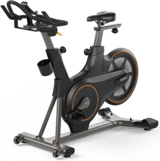 Vélo d’appartement Matrix Fitness ICR50 Limited Edition – Vélo Indoor Cycling Magnétique 11 Niveaux, Bluetooth FTMS, Volant Arrière Aluminium, Pédales SPD, Usage Appartement
