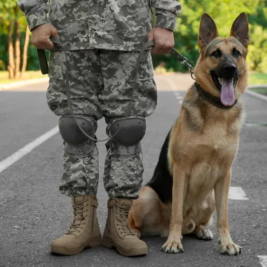 81-jOOEM JL._AC_SL1500_