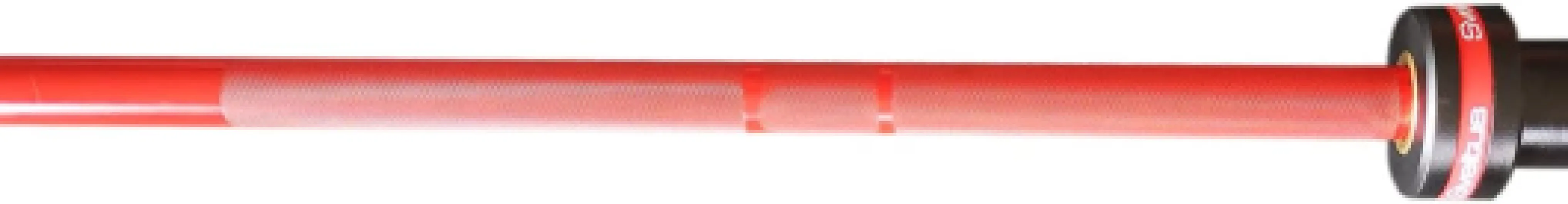 41YsRx-pL0L._AC_SL1263_