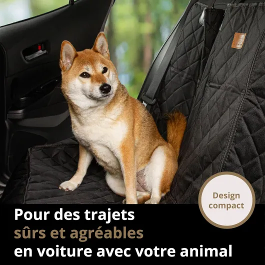 91WCLnw AQL._AC_SL1500_