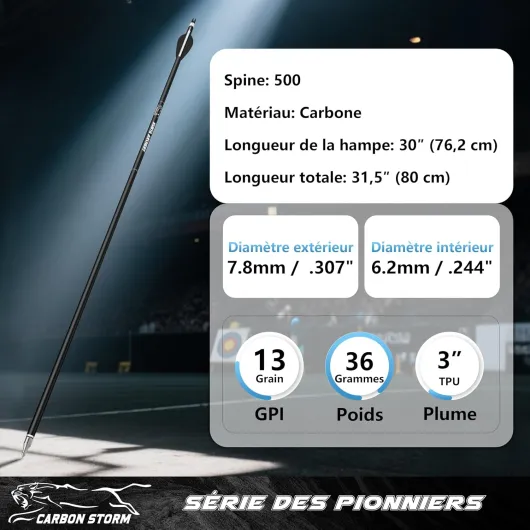 Sunya Flèches de Chasse pour Arc à poulies et Arc recurve - Tige en Carbone de 30 Pouces, Spine 400/500 avec Pointes Amovibles - Lot de 12 Noir Spine 500-30Inch