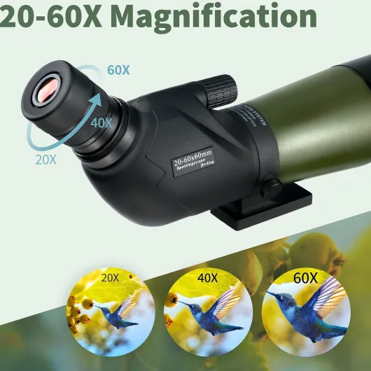 712x7HHMp2L._AC_SL1500_