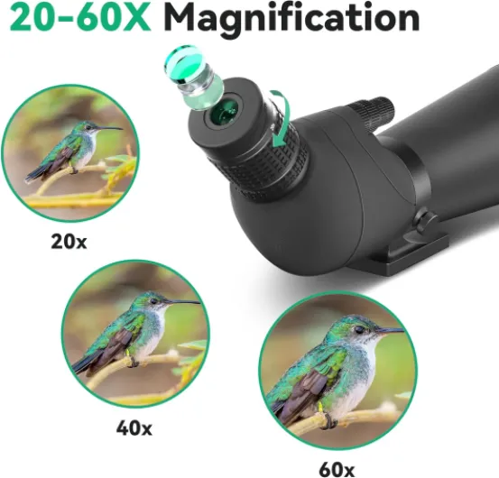 Télescope d'observation avec trépied pour observer les oiseaux Noir absolu
