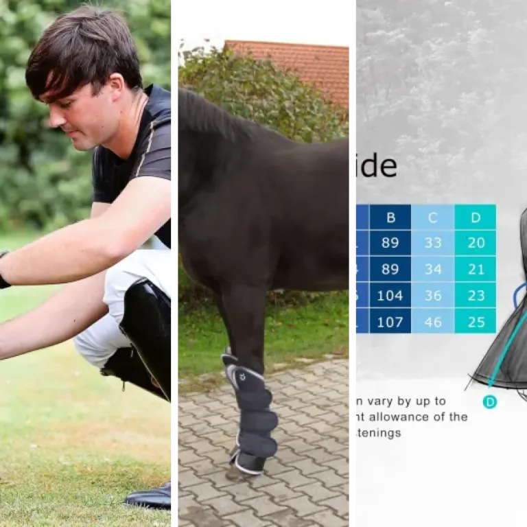Comparatif des 5 meilleurs protections cheval (2026)