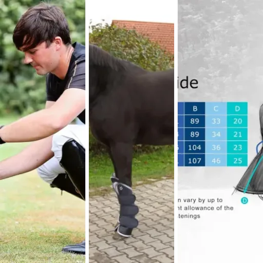 Comparatif des 3 meilleurs protections cheval (juin 2026)