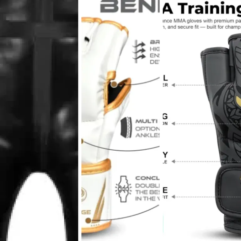 Comparatif des 5 meilleurs cages MMA entraînement premium (2026)