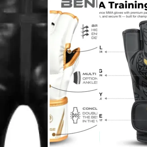Comparatif des 5 meilleurs cages MMA entraînement premium (juin 2026)