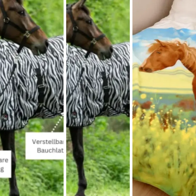 Guide d'achat : les 6 meilleurs couvertures cheval (2026)