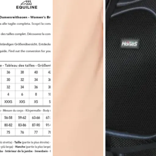Les meilleurs vêtements d'équitation techniques : notre top 5 (juin 2026)