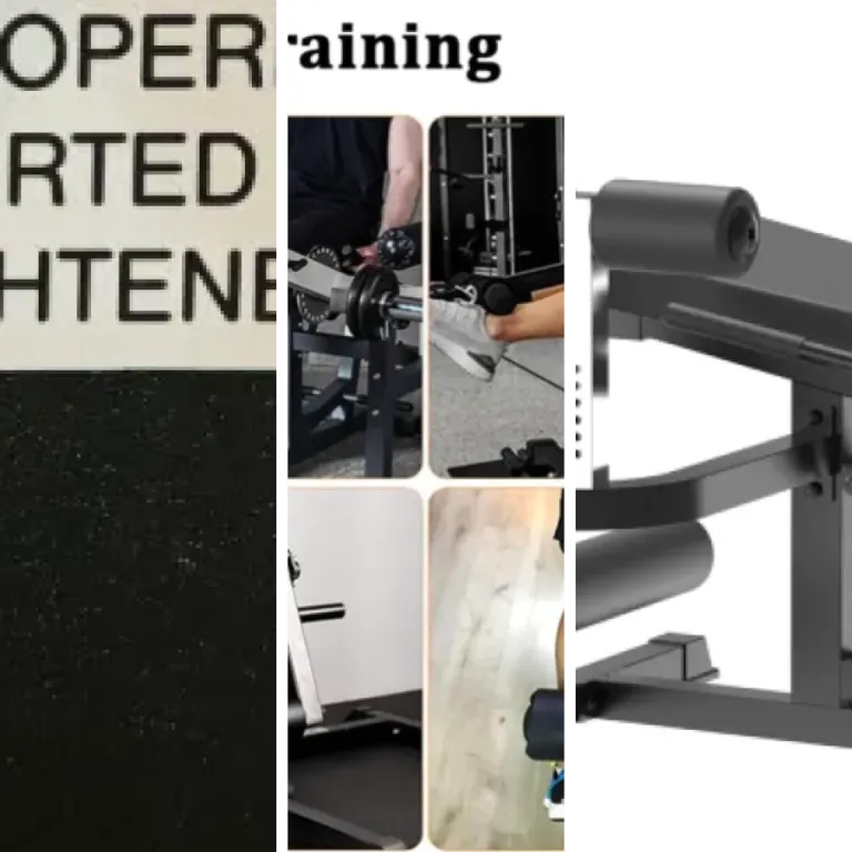 Top 7 des meilleurs machines leg extension professionnelles (2026)