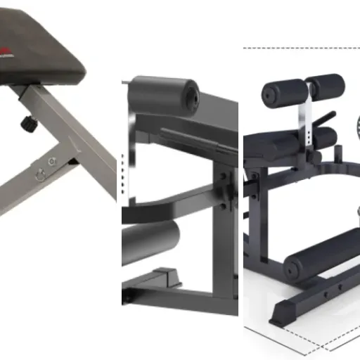Les 8 meilleurs machines leg curl allongé haut de gamme (juin 2026)