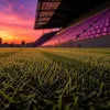 Fan experience en 2026 : ce que les spectateurs attendent vraiment d'une soirée au stade